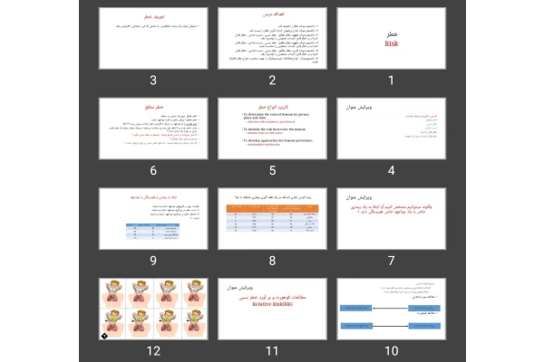 پاورپوینت خطر Risk