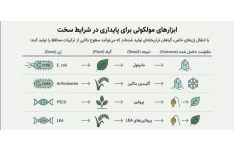 پاورپوینت /PDF تخصصی فصل 19- اصول بیوتکنولوژی گیاهی -مبحث کاربردهای مهندسی ژنتیک گیاهی