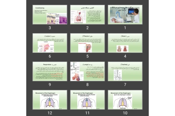 پاورپوینت مراقبت های پرستاری در ICU جلسه دوم