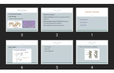 پاورپوینت Genetic Toxicity