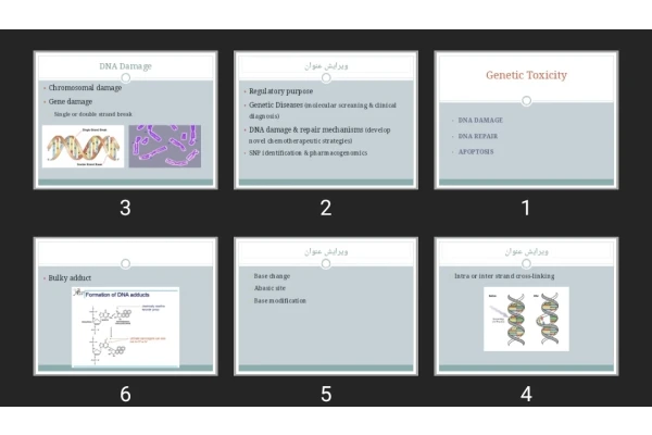 پاورپوینت Genetic Toxicity