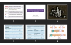 پاورپوینت Introduction to the Pharmacology of CNS Drugs
