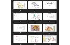 پاورپوینت Introduction to Autonomic Pharmacology