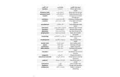 جزوه لغات ESD و دافکا دوفکا