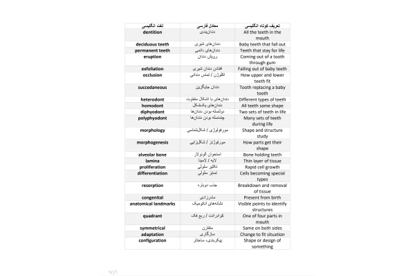 جزوه لغات ESD و دافکا دوفکا