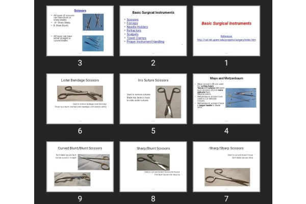 پاورپوینت Basic Surgical Instruments