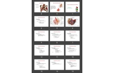 پاورپوینت Vessels and Nerves of the Pelvis