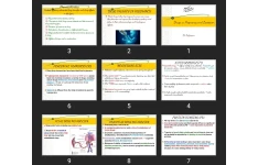 پاورپوینت Drugs in Pregnancy and Lactation