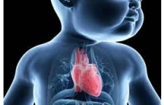   پاورپوینت بیماری های مادرزادی قلبی (congenital heart disease )