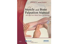 دانلود کتاب Joseph E. Muscolino DC - The Muscle and Bone Palpation Manual with Trigger Points, Referral Patterns and Stretching (2009, Mosby) - libgen.li زبان اصلی و اورجینال