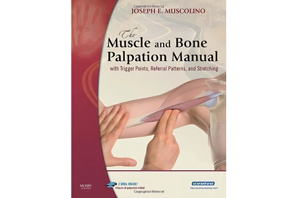 دانلود کتاب Joseph E. Muscolino DC - The Muscle and Bone Palpation Manual with Trigger Points, Referral Patterns and Stretching (2009, Mosby) - libgen.li زبان اصلی و اورجینال