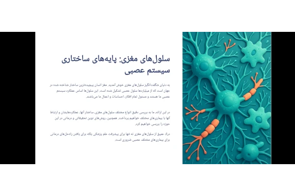 سلولهای مغزی