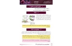 جزوه مبحث بیولوژی و عملکرد لنفوسیت های T