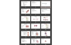 پاورپوینت Cardiovascular Physiology