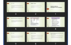 پاورپوینت Diabetes Mellitus: Management and Therapies