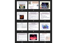 پاورپوینت  Prenatal testing and reproductive Genetics
