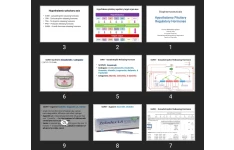 پاورپوینت Hypothalamo Pituitary Regulatory Hormones