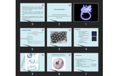 پاورپوینت Picornaviridae