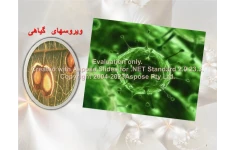 پاورپوینت ویروسهای گیاهی      تعداد اسلاید : 11      نسخه کامل✅