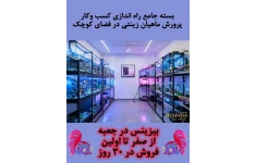 بسته جامع آموزش پرورش ماهیان زینتی در خانه – بیزینس در جعبه