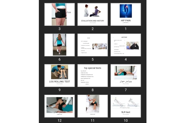 پاورپوینت HIP PAIN