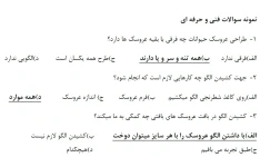دانلود سوالات بافنده عروسک فنی و حرفه ای با پاسخ