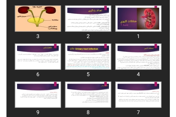 پاورپوینت اختلالات کلیوی