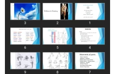 پاورپوینت skeletons of the Upper limb & axial skeleton