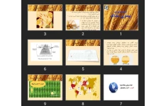 پاورپوینت اپیدمیولوژی بیماری سلیاک