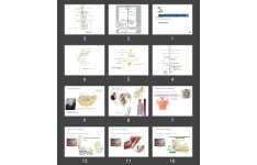 پاورپوینت اعصاب اندام فوقانی Anatomy of the Upper Limb