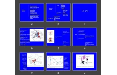 پاورپوینت Skeletal system