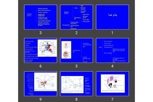 پاورپوینت Skeletal system