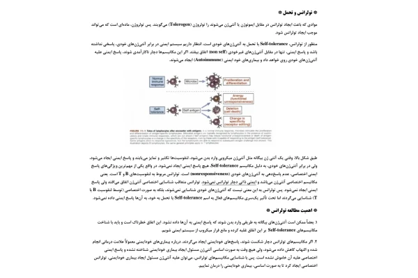 جزوه تولرانس