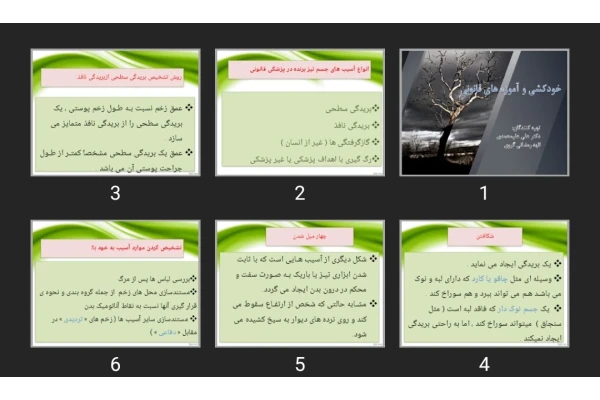 پاورپوینت خودکشی و آموزه های قانونی