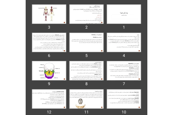 پاورپوینت فیزیولوژی و تشریح