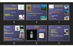 پاورپوینت poisonous fish and shelfish