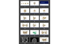 پاورپوینت Cranial Bones II