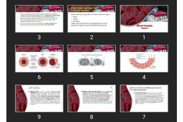 پاورپوینت Blood Vessels