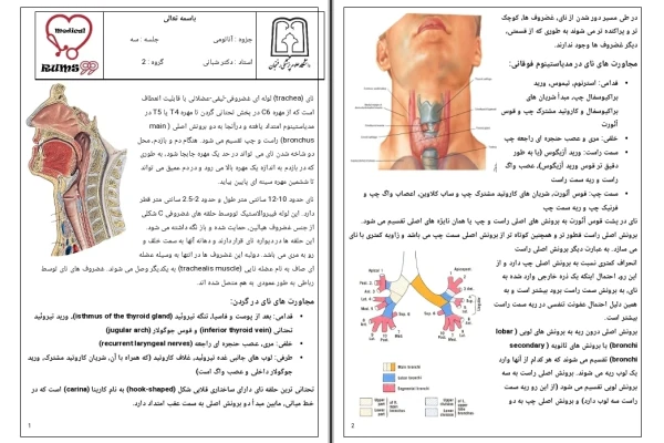 جزوه تنفس جلسه ۳