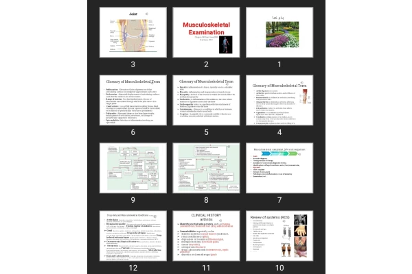 پاورپوینت Musculoskeletal Examination
