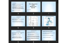 پاورپوینت Toxic Responses of the Respiratory System