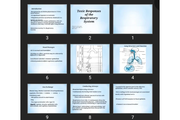 پاورپوینت Toxic Responses of the Respiratory System
