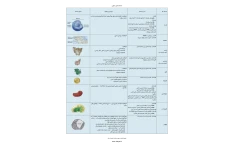 اندامک های سلولي 🔬 نسخه کامل ✅