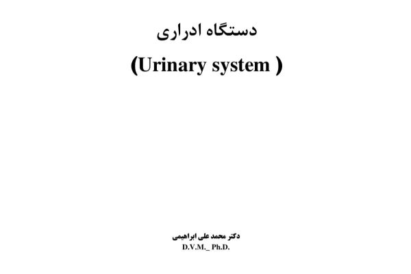 جزوه دستگاه ادراری - تایپی کامل