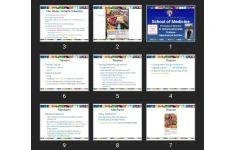 پاورپوینت Principles of Nutrition (the vitamins)