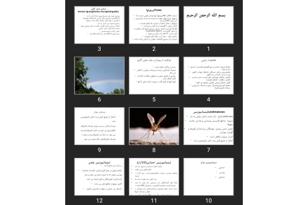 پاورپوینت Infection 4