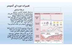 پاورپوینت فیزیولوژی قاعدگی در 34 اسلاید قابل ویرایش قابل استفاده دانشجویان زیر مجموعه پزشکی