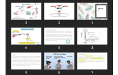 پاورپوینت Serology test