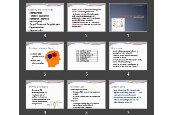 پاورپوینت Medical Terminology Endocrine System