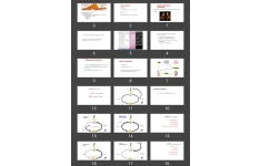 پاورپوینت Adrenal Anatomy &  Physiology